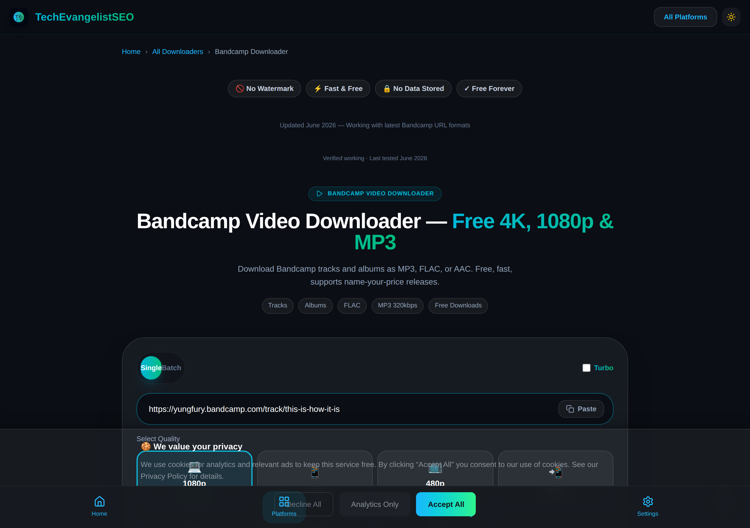 Bandcamp โ Info Fetched