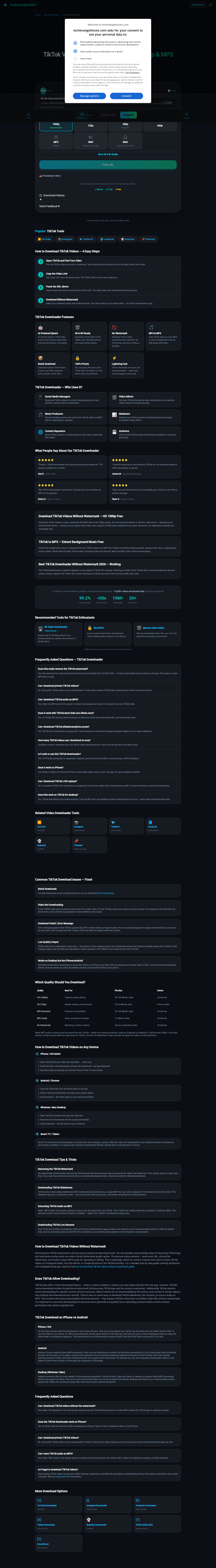 TikTok video downloader tool screenshot — full page view