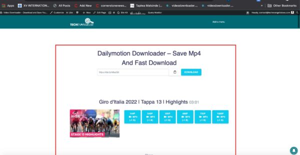 dailymotion to mp4 fast
