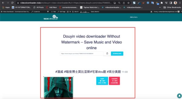 douyin video downloader