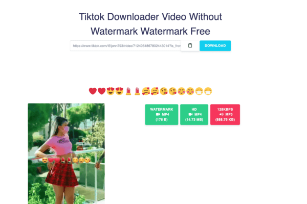 Tiktok Downloader Video Without Watermark Watermark Free