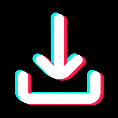 What is a TikTok Downloader?